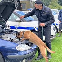 příslušník vojenské policie kontrolující automobil se služebním psem